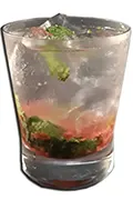Fruit Mojito